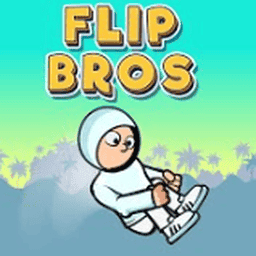 Flip Bros